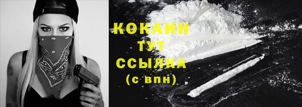 молекула духа Горняк